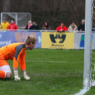 IMG_6122_jpg-1365283229