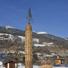 _DSC00300005_1_JPG-1267115940