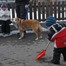 _DSC01200001_1_JPG-1267116068