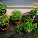 DSC05059.JPG