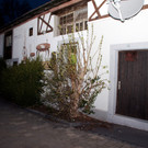 DSC05013.JPG