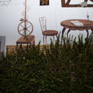 DSC05016.JPG