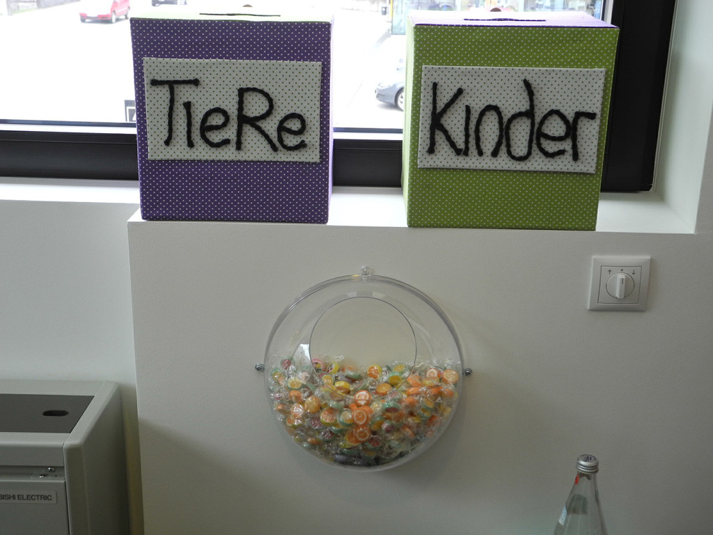 DSCN2207_JPG-1365347528