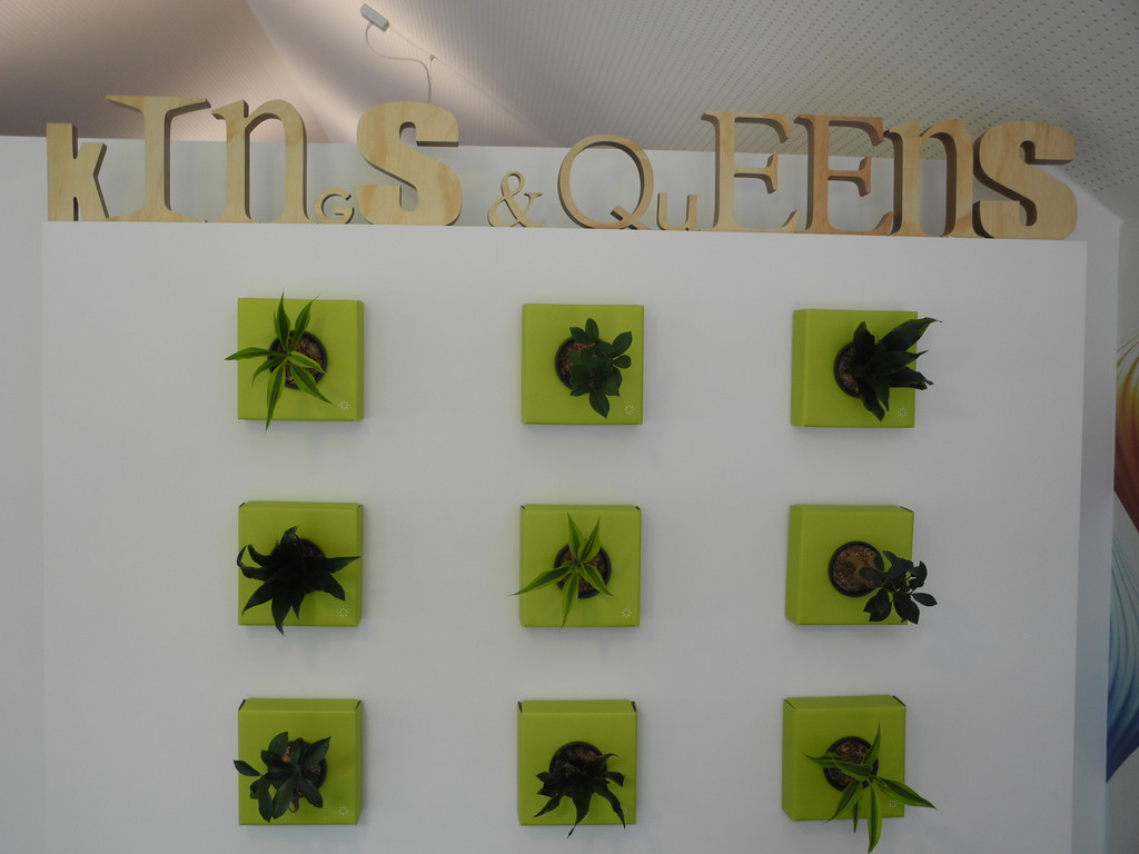 DSCN2228_JPG-1365347717