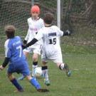 P4070094_JPG-1365353811