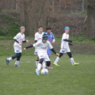 P4070095_JPG-1365353813