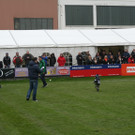 IMG_6555_JPG-1365355488