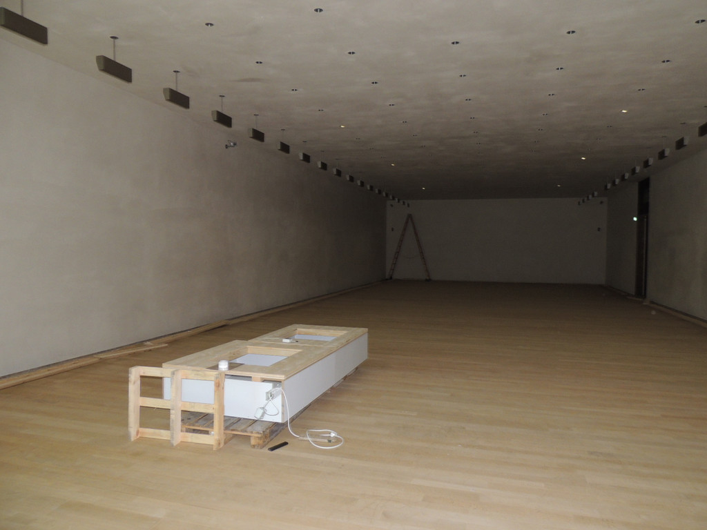 DSCN6913_JPG-1365373027