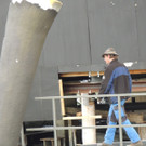 DSCN6528_JPG-1365373454