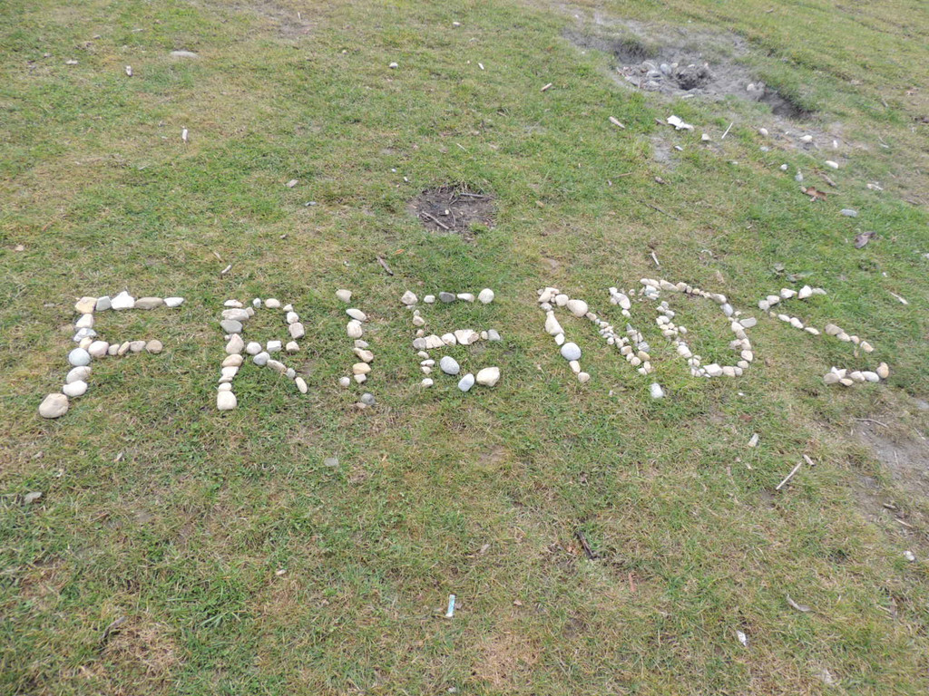 DSCN7897_JPG-1365375354