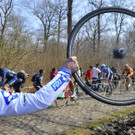 IBD0608-20130407.jpg