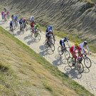 IBD0622-20130407.jpg