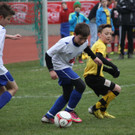 IMG_0683_jpg-1365408281