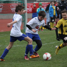 IMG_0684_jpg-1365408296