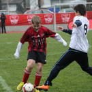 IMG_0738_jpg-1365408398