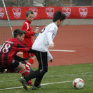 IMG_0785_jpg-1365408541