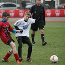 IMG_0793_jpg-1365408554