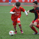 IMG_0831_jpg-1365408708