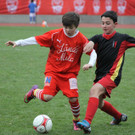 IMG_0832_jpg-1365408724