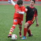 IMG_0833_jpg-1365408740