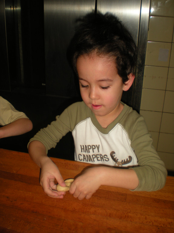 DSCN5410_JPG-1365415415