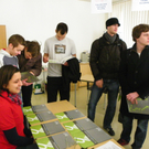 100_4553.jpg