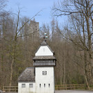 Ruine Montfort