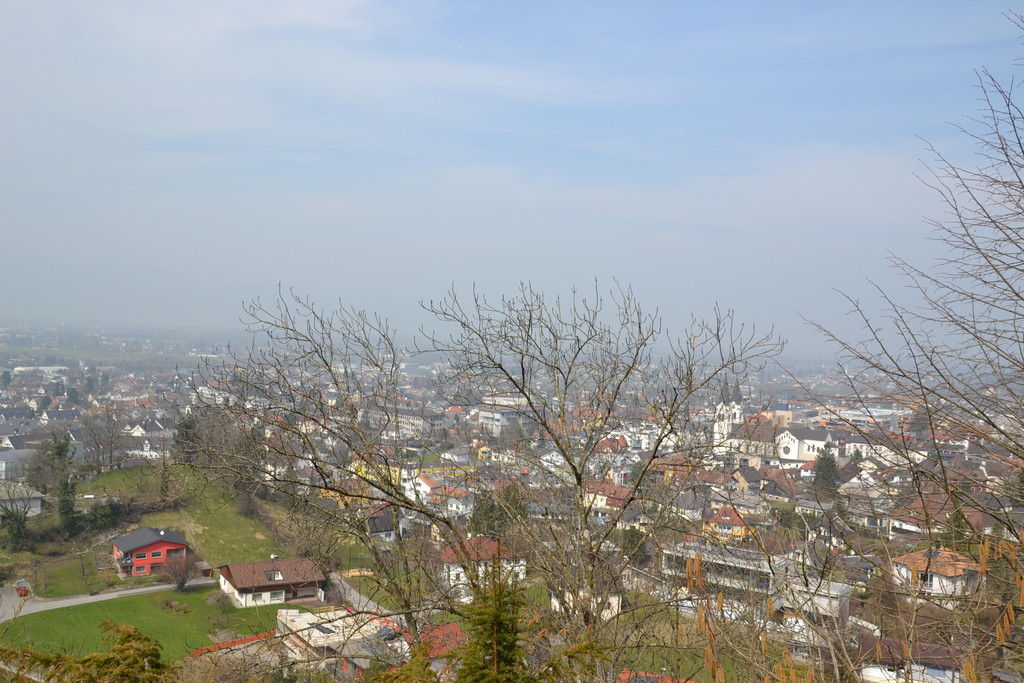 DSC_0271_JPG-1365425890