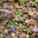 DSC_0260_JPG-1365426154