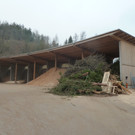 P1150145.JPG