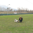 IMG_7370_JPG-1365438857