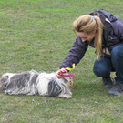 IMG_7371_JPG-1365438920