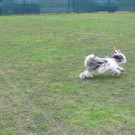 IMG_7372_JPG-1365438960