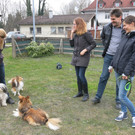 IMG_7388_JPG-1365439435