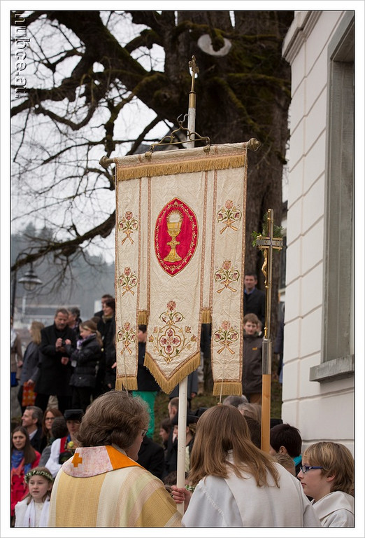 egg348_jpg-1365515879