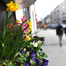 ABD0033-20130407.jpg