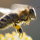ABD0014-20130408.jpg
