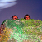 IMG_7837.JPG