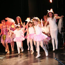 IMG_7877.JPG