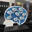 DSCN5065_JPG-1365536689