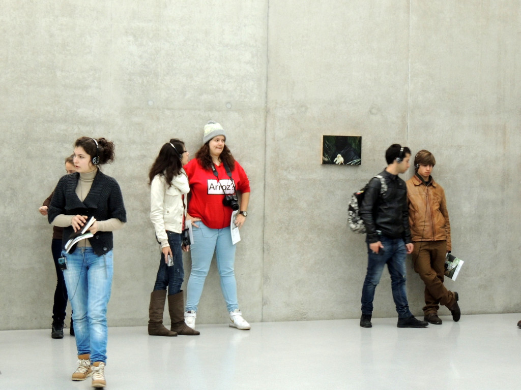 DSCN5069_JPG-1365536706