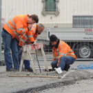 DSCN8486_JPG-1365543265