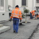 DSCN8490_JPG-1365543277