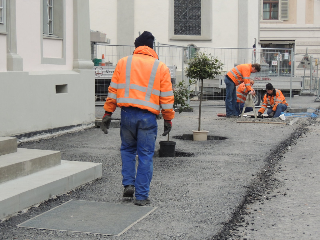 DSCN8490_JPG-1365543277