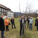 DSCN5094_JPG-1365543942