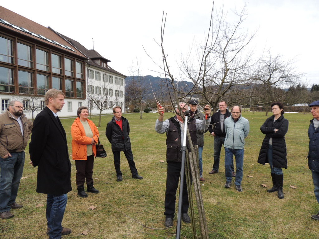 DSCN5094_JPG-1365543942