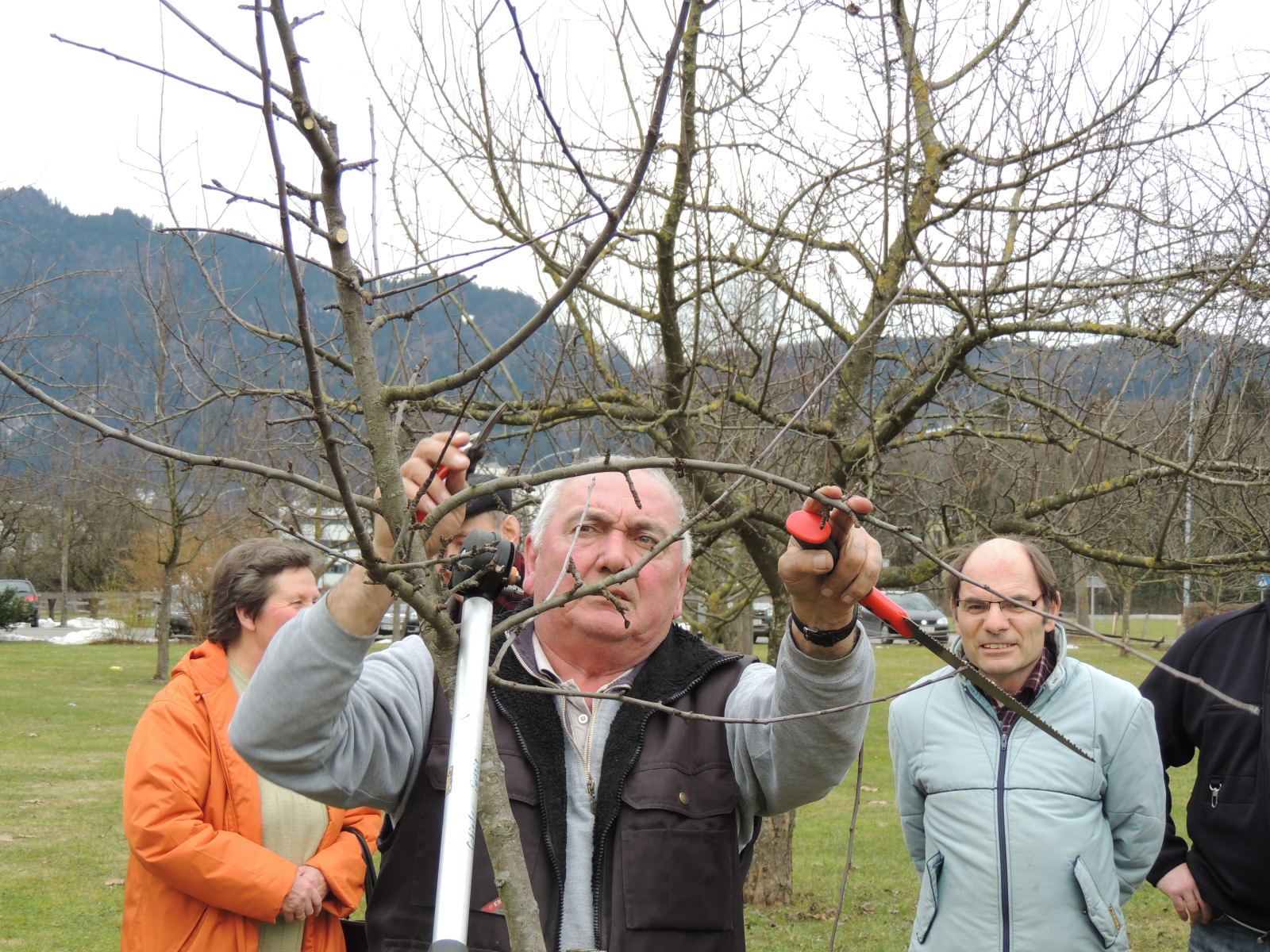 DSCN5096_JPG-1365543946