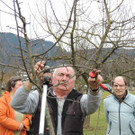 DSCN5096_JPG-1365543946