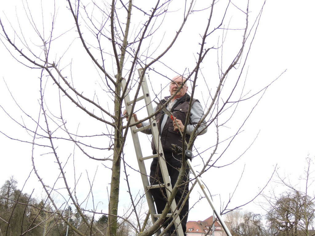 DSCN5116_JPG-1365543958