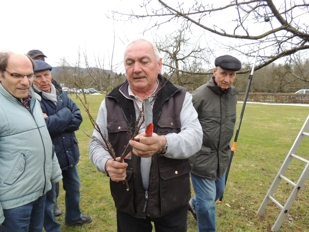 DSCN5143_JPG-1365543974